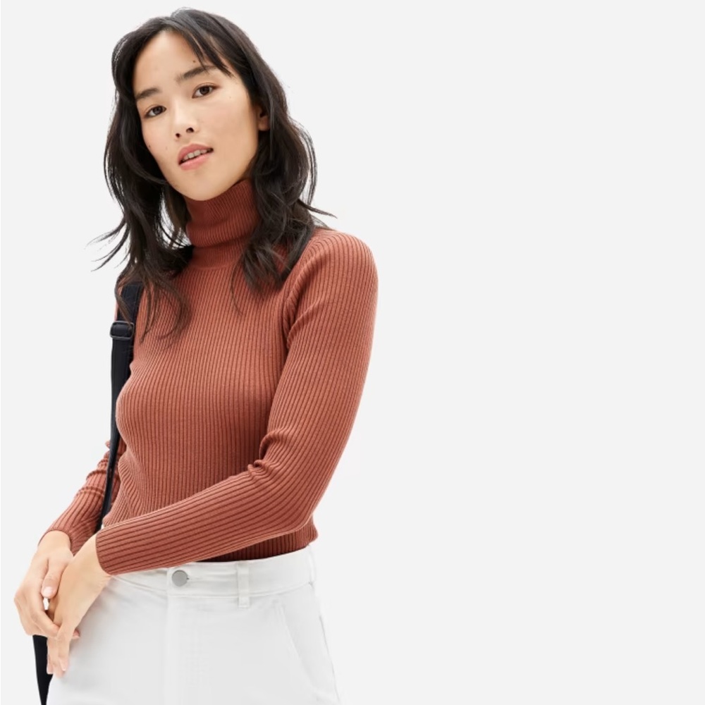 Everlane Rust The Italian Merino Wool Blend Turtleneck Sweater